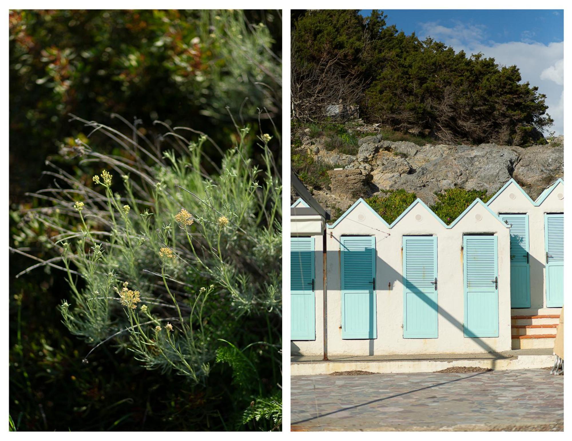 La Casa Di Marco, Holidays, Sea And Nature Montiano  Eksteriør billede
